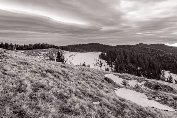 Ormandaki dağların güzel manzarası