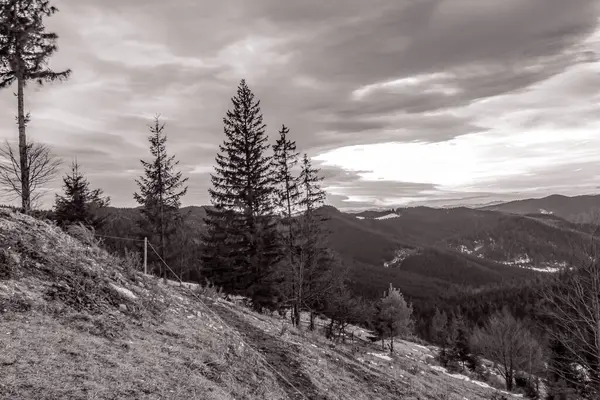 Ukrayna Karpatları 'nın tepesinden güzel bir manzara..
