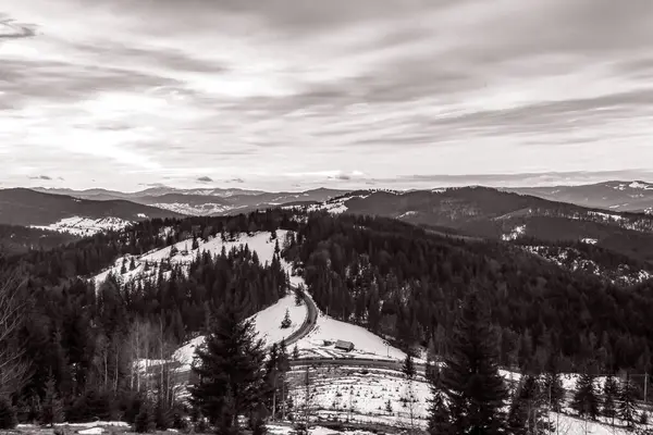 Kış manzarası yukarıdan.