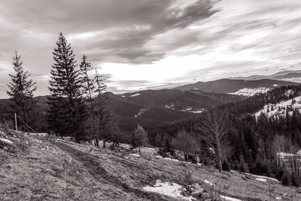 Doğanın güzel manzarası