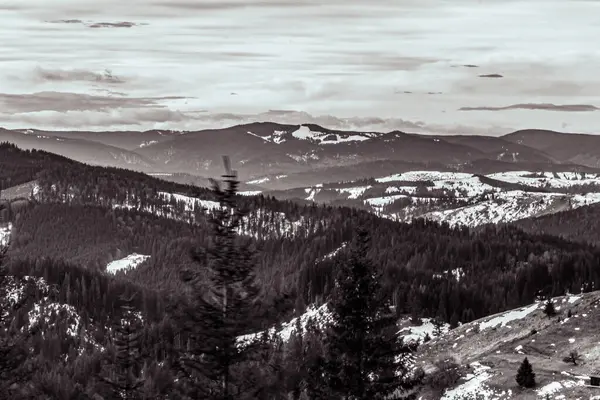 Kışın Karpatların dağları. İnsansız hava aracı olan güzel bir orman..