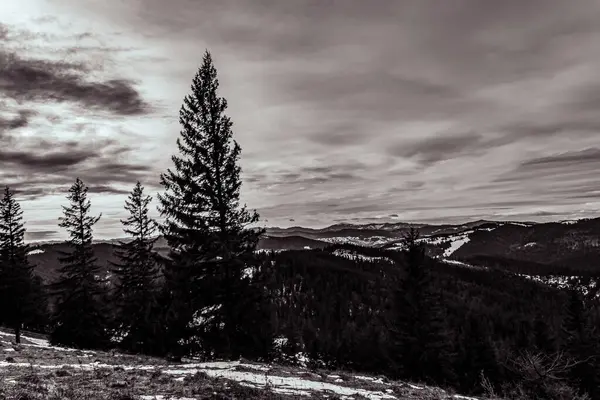 Karpatların dağlarında güzel bir manzara. ukraine