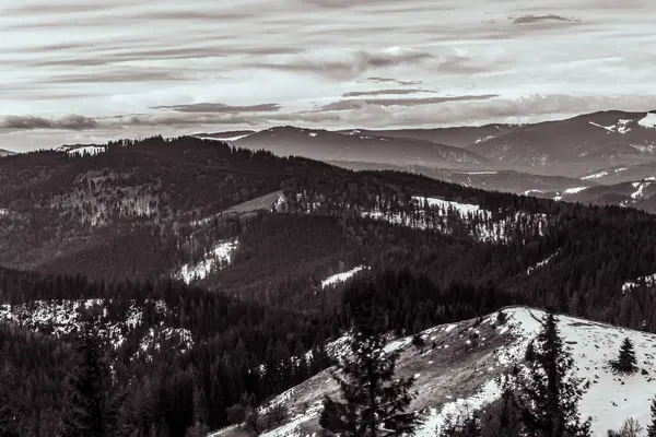 Karlı köknar ormanlarıyla güzel kış manzarası