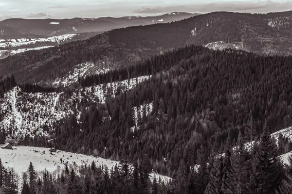Orman, Karpatlar, Doğa Fotoğrafları - Avrupa, Doğu Avrupa, Romanya 