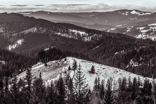 Kışın karlı siyah beyaz dağlar