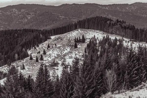 Kışın güzel dağ ormanları, Karpatlar, Ukrayna. seyahat kavramı