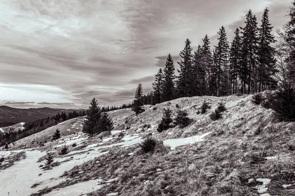 Karpatya dağlarında bulutlu gökyüzü olan güzel dağ manzarası