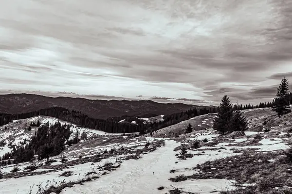 Ormandaki karlı dağ sırasının dikey görüntüsü.