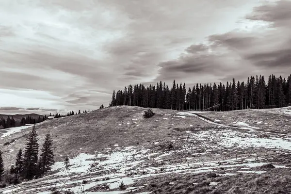 Karpatya dağlarındaki dağ manzarasının dikey görüntüsü.