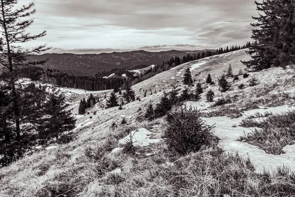 Karpatlar 'ın güzel dağları, Ukrayna..