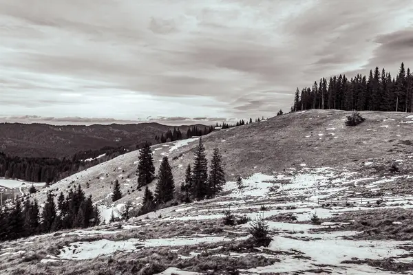 Colorado 'daki ulusal parktaki kayalık dağların dikey görüntüsü.