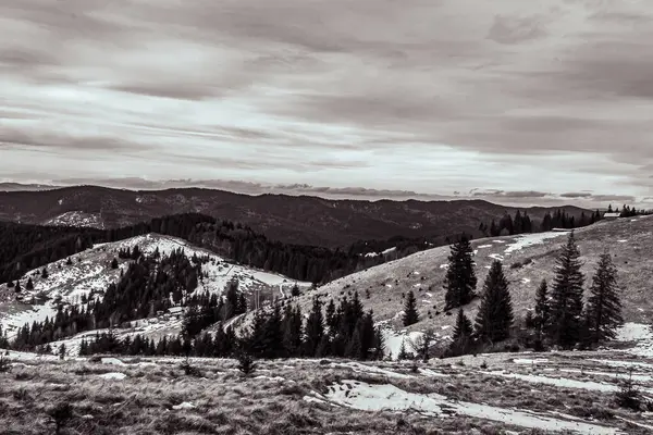 Güzel dağ manzarası. Karpat Dağları 'nın siyah beyaz fotoğrafı.