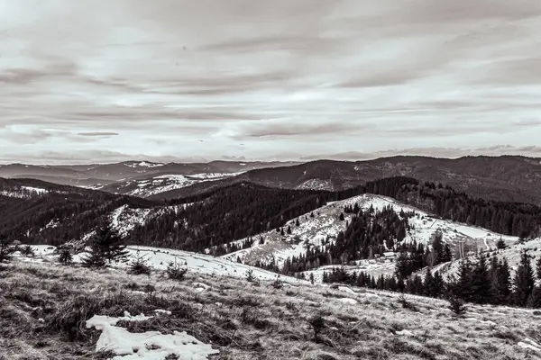Dağ manzarasının siyah beyaz fotoğrafı