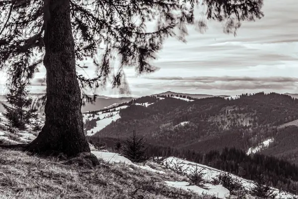 Dağlardaki güzel kış manzarası.