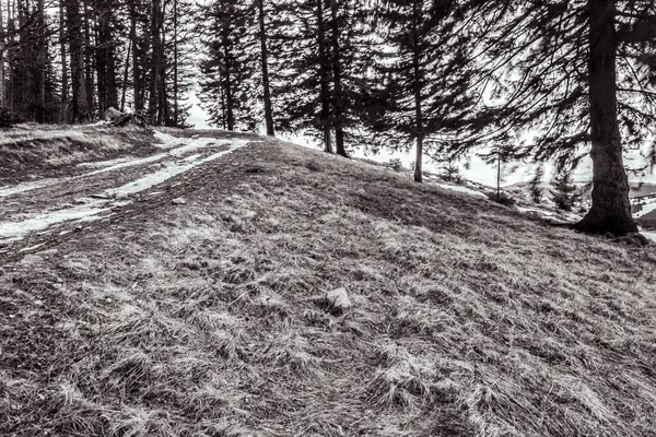 Dağlardaki güzel kış manzarası