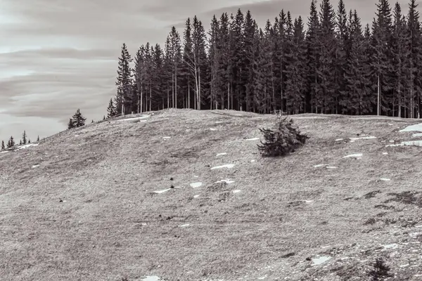Sonbahar mevsiminde Karpatlar 'daki kayalık dağlar..