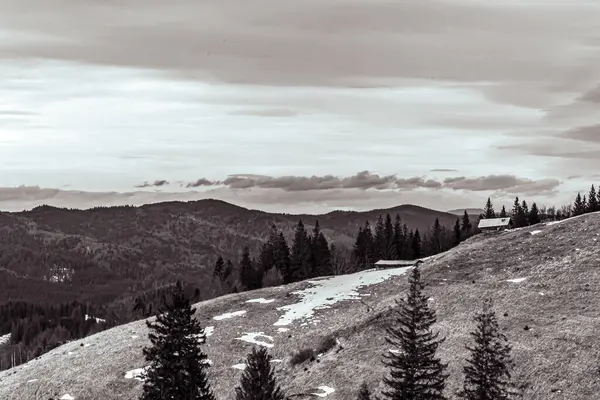 Karpatlar 'daki güzel dağ manzarası