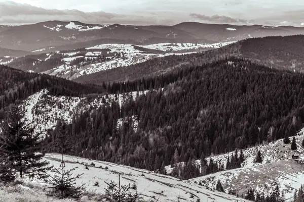 güzel dağ manzarası ile orman