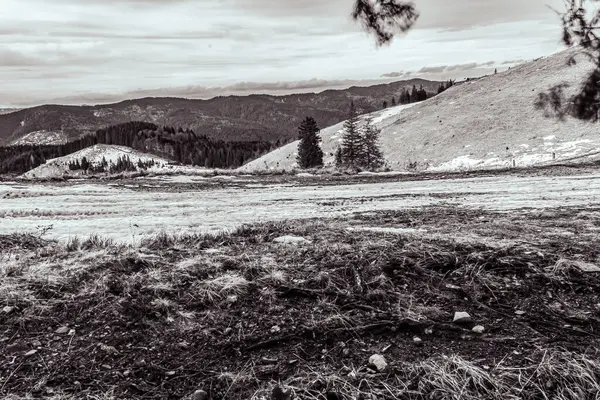 Karpat dağlarında güzel bir dağ manzarası.