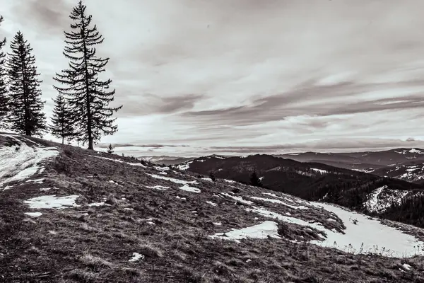 Slovakya 'daki karlı dağların güzel bir görüntüsü.