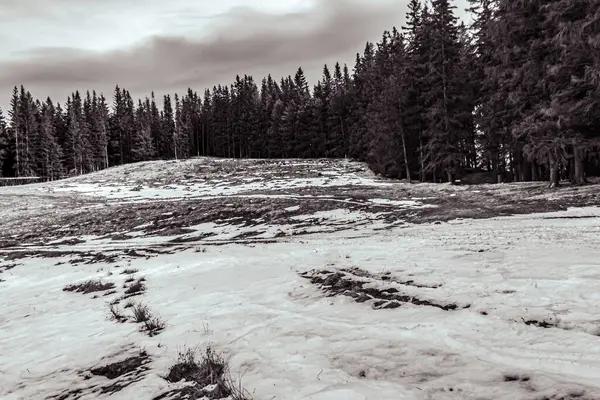Tepedeki karlı ormanın güzel bir görüntüsü.