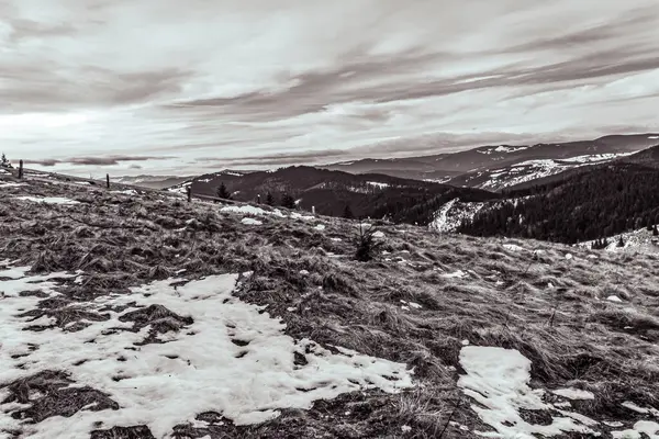 Karla kaplı ağaçlarla kaplı güzel kış manzarası