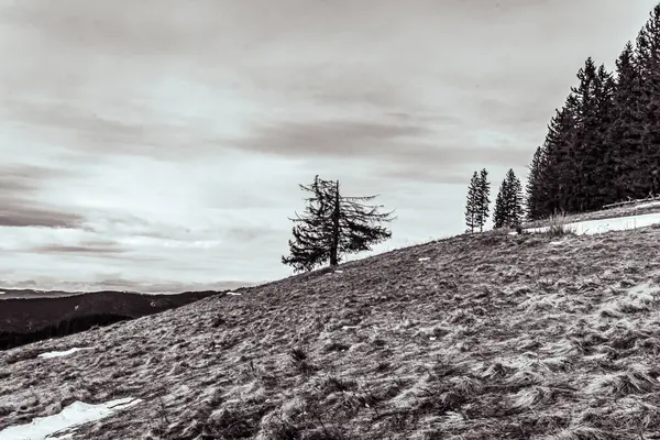 kar ile kış dağ manzarası