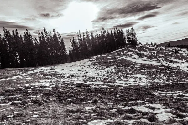 Kış manzarası. Dağ zirveleri. Karpatların karla kaplı zirveleri.