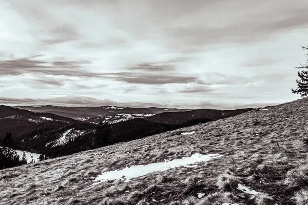 Ukrayna 'daki Karpatlar' ın kış manzarası