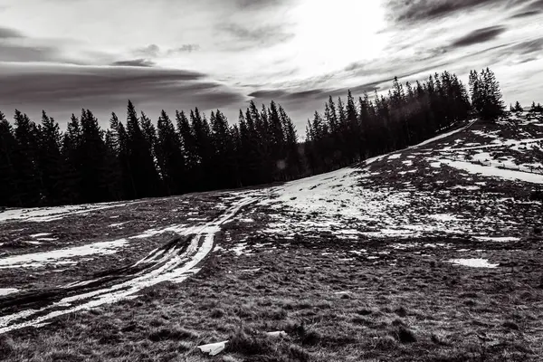 Kar ve ağaçlarla dolu güzel kış manzarası