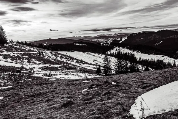 Kışın Karpat Dağları 'nın zirvesinden güzel bir manzara. siyah beyaz fotoğraf.