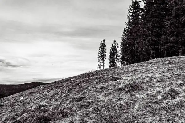 Dağların güzel manzarası