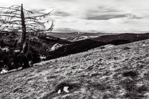 Dağ manzarası harika.