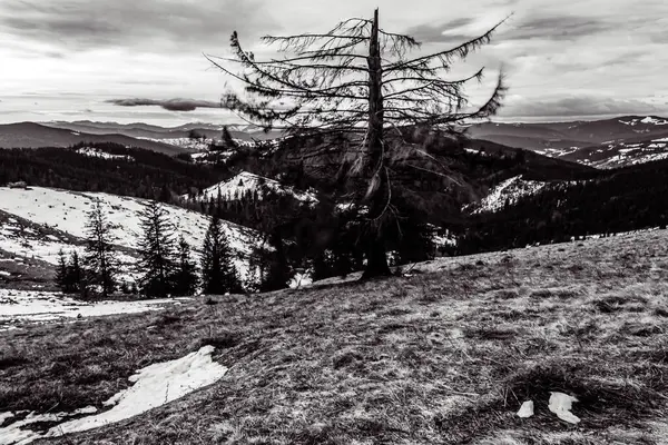 Dağlardaki güzel dağ manzarası