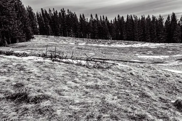 karlı siyah ve beyaz manzara - tepeli dağlar