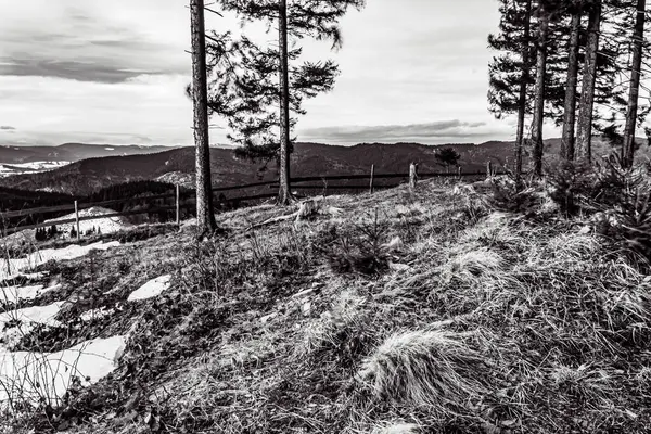 Karpat Dağlarının güzel manzarası