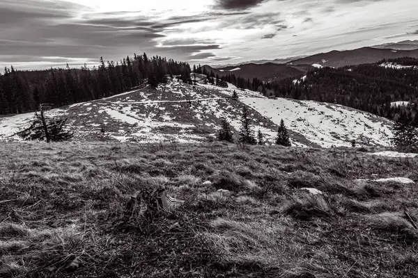 Doğanın güzel manzarası