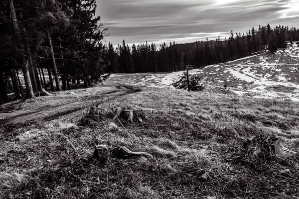 Romanya 'nın Karpat Dağları' ndaki güzel bir dağ manzarası.