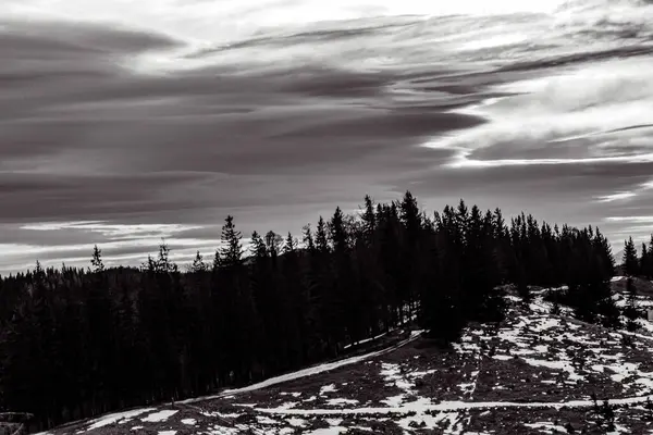Ağaçlı güzel kış dağları