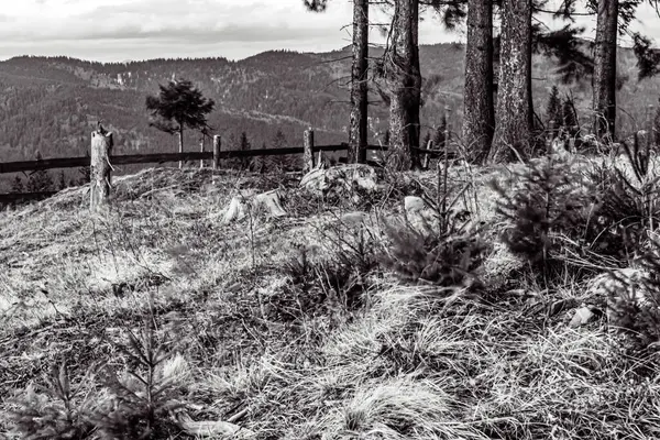 Portekiz 'in kırsal kesiminde siyah ve beyaz manzara