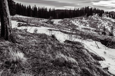 Kış Dağları, Karpatlar, Ukrayna, Avrupa