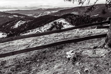 Ağaçlı güzel kış manzarası