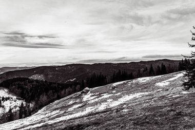 Karpatlar 'ın dağlarında kış manzarası