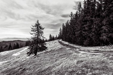Dağların güzel manzarası