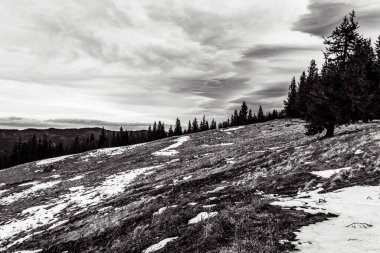 Karlı güzel kış manzarası