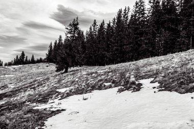 güzel kış manzara Karpat dağ