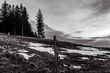 kış manzara siyah beyaz fotoğraf