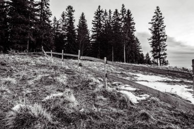 Kış dağı manzarası. Karpat Dağları. ukraine.