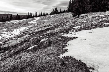 Karpatya dağlarında kış