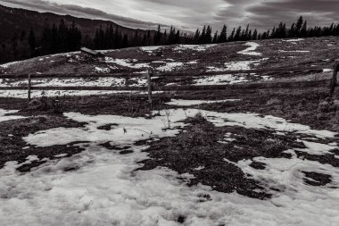 Kış karları ağaçları ve ormanı kapladı